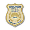 Управа за финансиска полиција